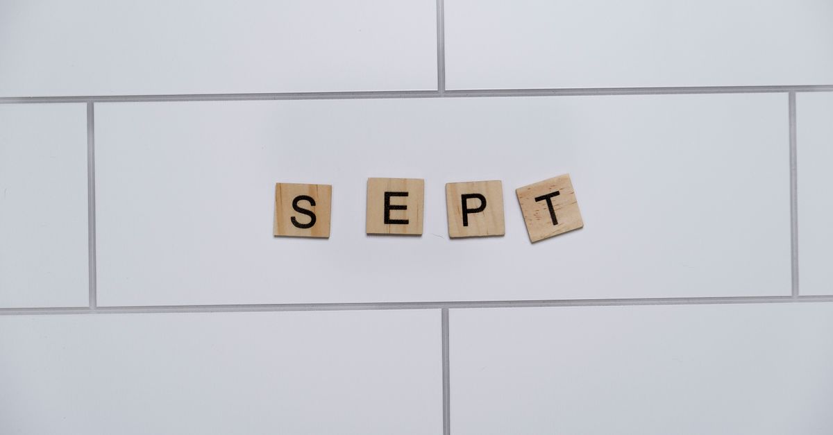 Google November 2021 Core Update: Google Spam Update Insights