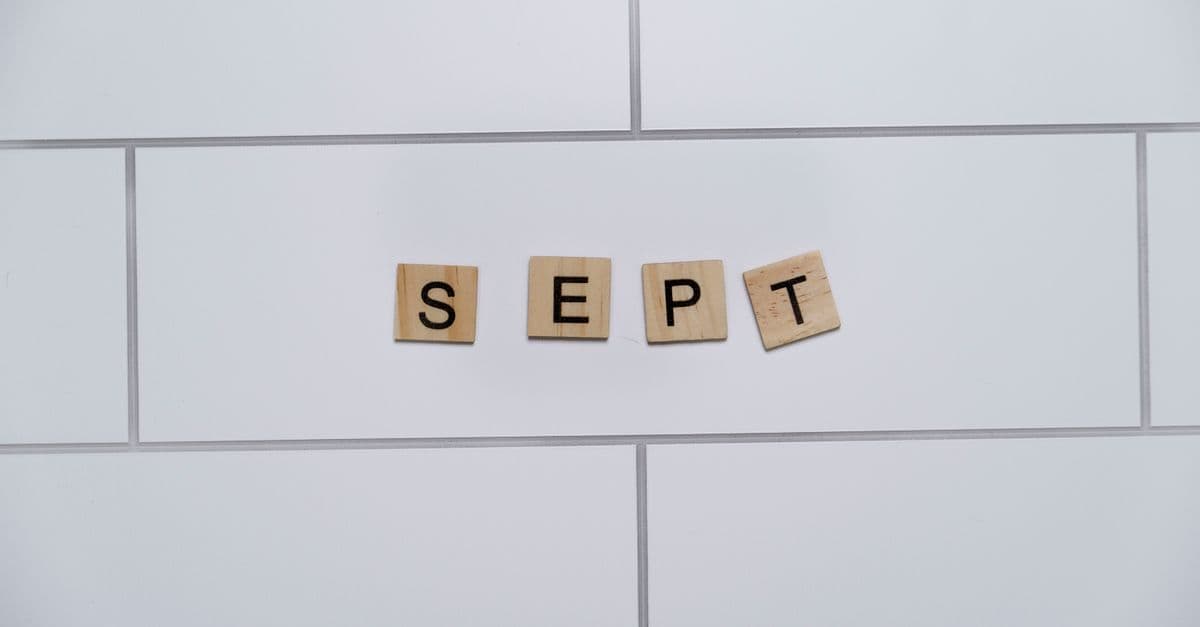 Google November 2021 Core Update: Google Spam Update Insights