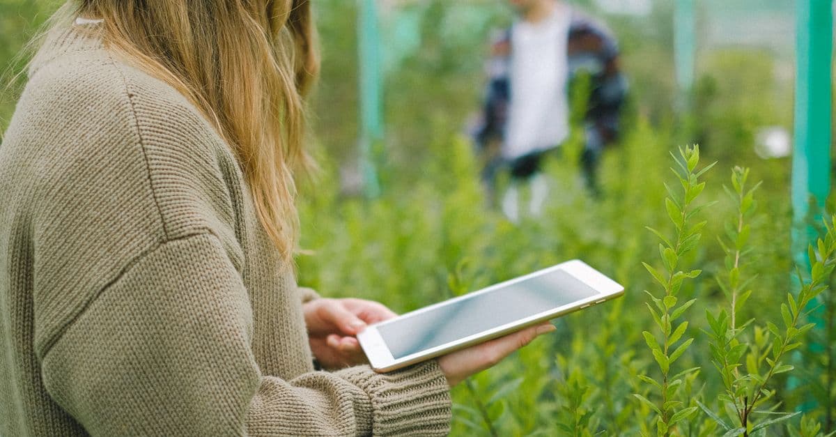 IoT in Agriculture: Innovations and Solutions for Smart Farming