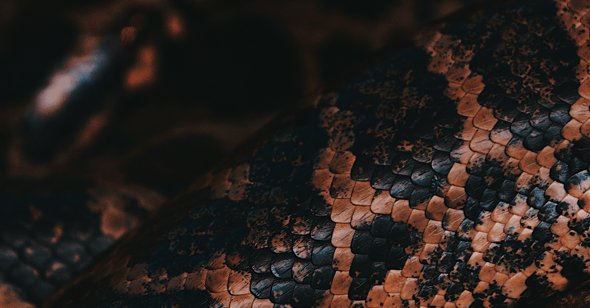 Understanding VIPER architecture in detail